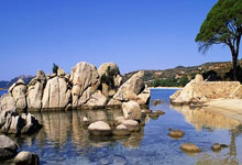 成人女性BMI参照图解读